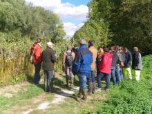 Visite de terrain lors de la formation invasives 'Hers'