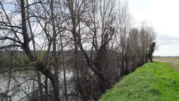 Décoration de fond pour  En savoir plus sur...